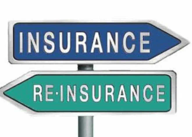 Reinsurance Explained: How It Works, What It Is, and Types