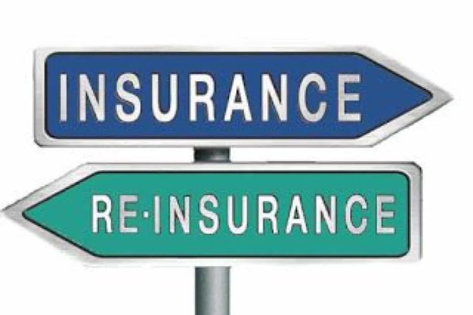 Reinsurance Explained: How It Works, What It Is, and Types